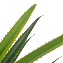 Load image into Gallery viewer, vidaXL Artificial Plant Yucca Tree with Pot Green 57.1"