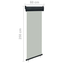 Load image into Gallery viewer, vidaXL Parvekkeen sivumarkiisi 60x250 cm harmaa