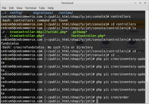 new rabbit - Fashion Apparel 